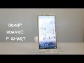 Отличия Huawei P Smart от Honor 9 lite