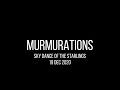Murmurations: Sky Dance of the Starlings (RSPB Fairburn Ings)