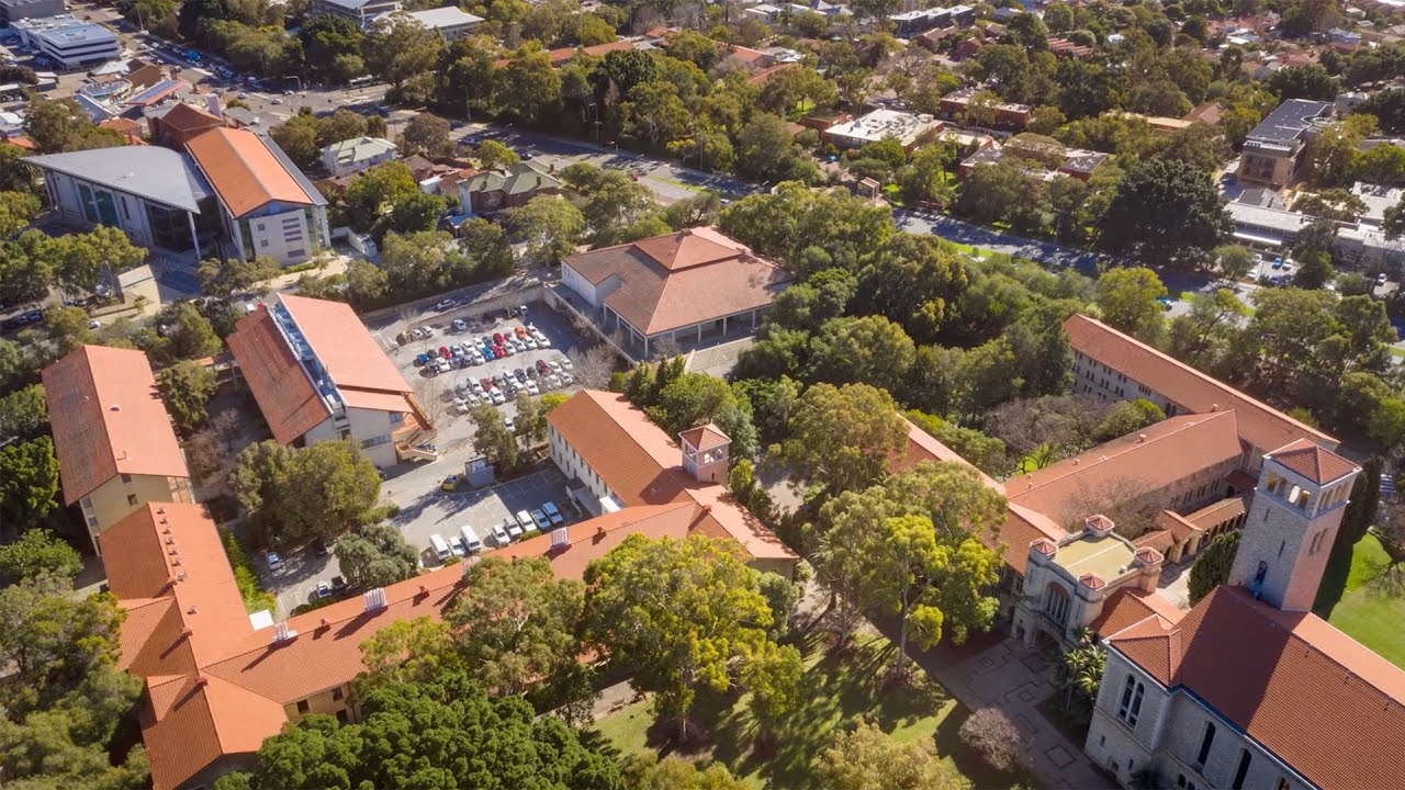 Celebrating 30 Years at LWAG