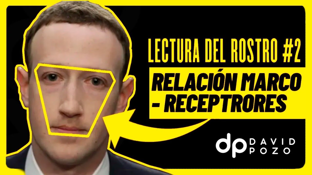 Cómo LEER EL ROSTRO 🔎  de las PERSONAS en 5 pasos #2. 👩🏻  Relación Marco - Receptores