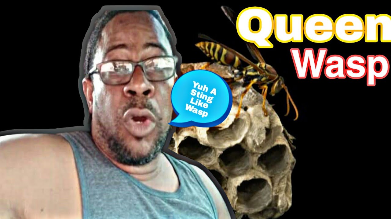 Queen Wasp Afraid Of (Larry Di Lizard Lor Lor) An Tin mackerel Chin