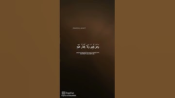 سورة المؤمنون من الٱية84 حتى الايه 91🤍 #لايك #إشتراك #اكسبلور #ثورة #حرية #وكرامة 💚