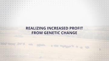 USLGE | Beef | Realizing Increased Profit from Genetic Change in Beef Cattle (English)