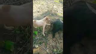 22 De Novembro De 2025