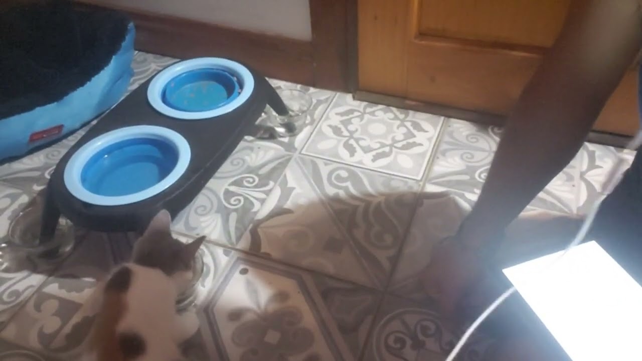 Conversations With KrishnaBlue Ep. 418