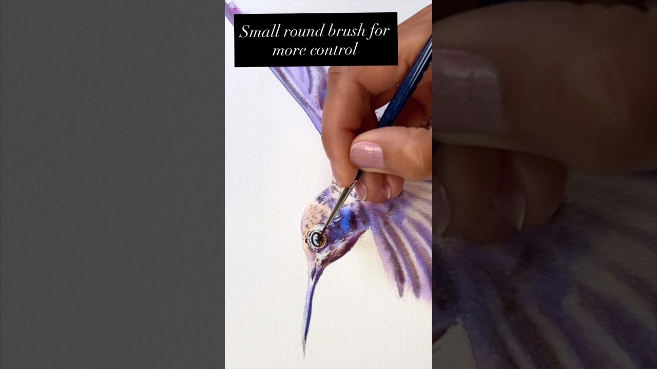 Capturing highlights and shadows: Hummingbird Eye in Watercolor