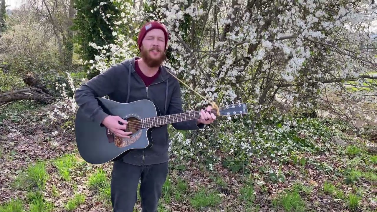 Tonton A Beautiful Divorce - Live at Bear Creek Park - Micah McCaw di YouTube Tonton A Beautiful Divorce - Live at Bear Creek Park - Micah McCaw di YouTube