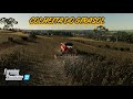 COLHEITA DO GIRASSOL FAZENDA AGRONORTE MELHOR MAPA DE TODOS OS TEMPO FARMING SIMULATOR 22