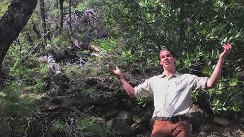 Virtual Naturalist Club : Episode 1: iNaturalist App. With Alex Wild