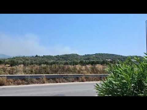 Φωτιά ανάμεσα στη Θολό και τη Σορωνή