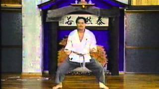 Tetsuhiro Hokama Sensei