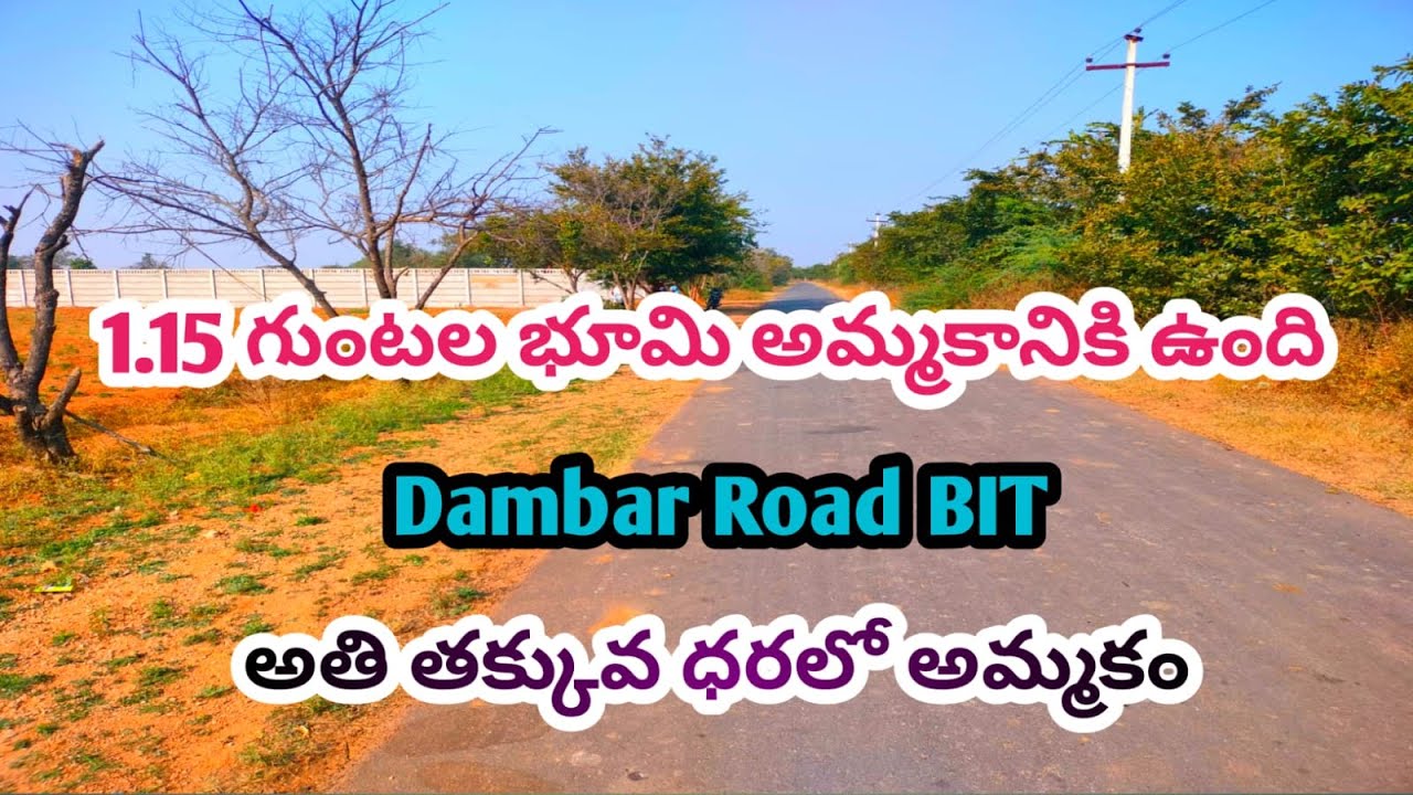 1.15 Guntas Agriculture Land For SaleDambar Road BIT48 Km From JBS