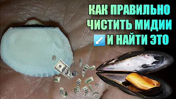 Как ПРАВИЛЬНО ЧИСТИТЬ МИДИИ? И НАЙТИ ЖЕМЧУГ?
