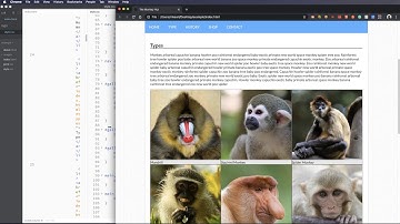 Grid Columns, Rows, and Gap