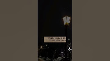 تلاوة خاشعة .. ارح قلبك بذكر الله 🥺🤍