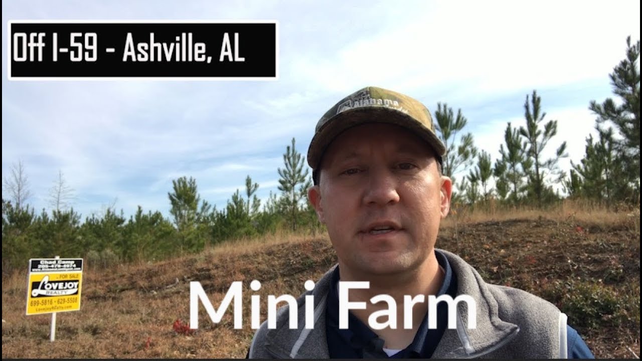 Land For Sale Homesteading Mini Farms Home Sites in Ashville Alabama YouTube