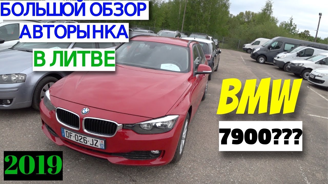 Покупка авто у лисы Покупка авто у лисы