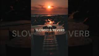 Dil - Lofi (Slowed + Reverb) | Raghav Chaitanya | MM LOFI