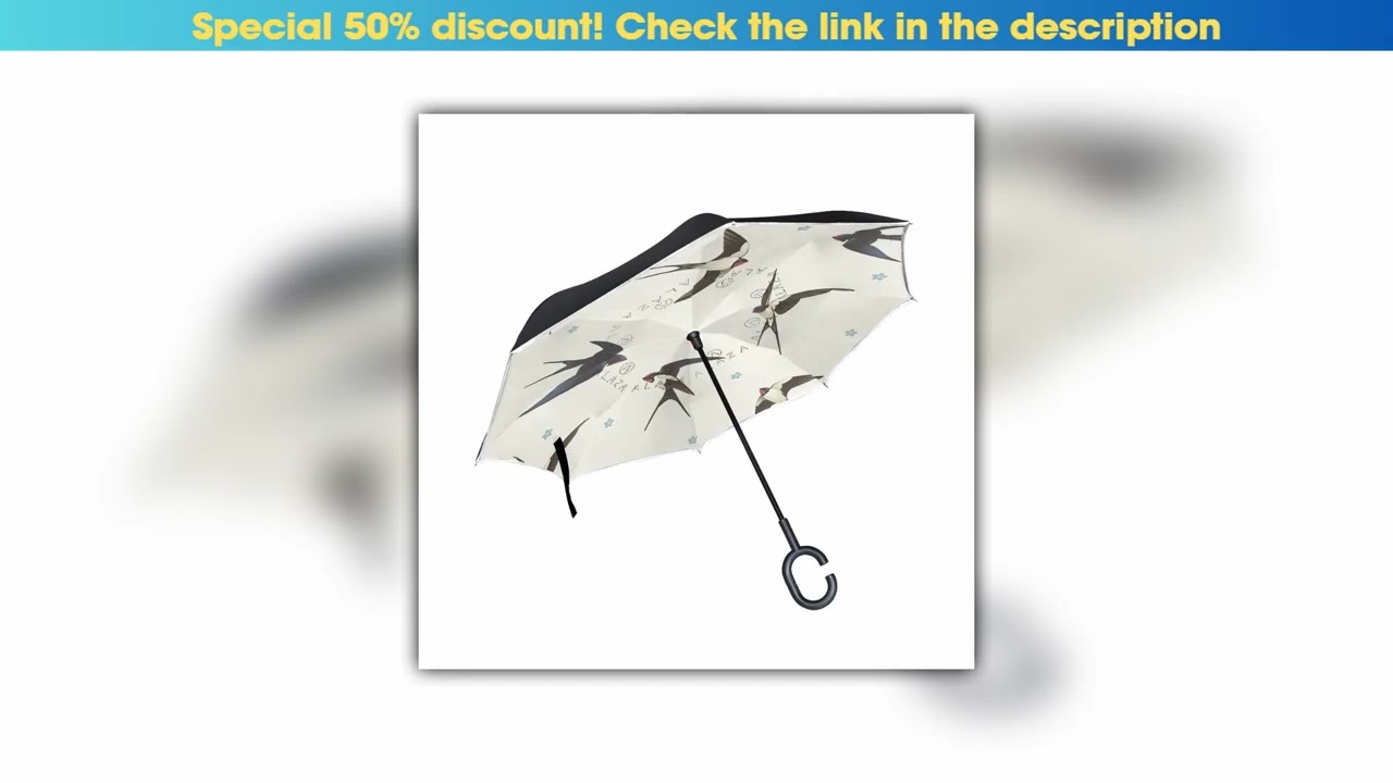 Review Drop Shipping Swallow Bird Double Layer Inverted Umbrella Reverse with C-shaped Hands Long H