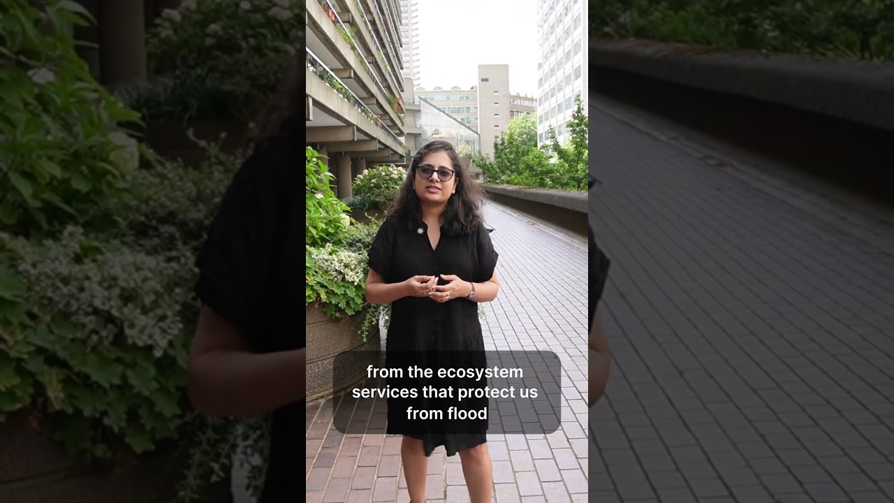 The four returns of investing in nature