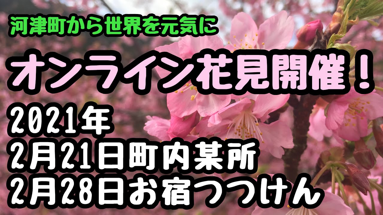 2021 河津 桜