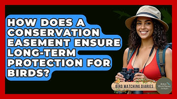 How Does A Conservation Easement Ensure Long-term Protection For Birds? - Bird Watching Diaries