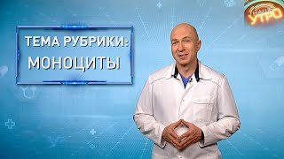 МОНОЦИТЫ — что делать, если их уровень ПОВЫШЕН | Формула здоровья