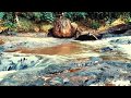 Suara Gemericik Air Mengalir Di Sungai Berbatu Bikin Tenang Kangen Kampung Mp3 - Mp4 Download