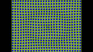Optical Illusion - Anomalous Motion