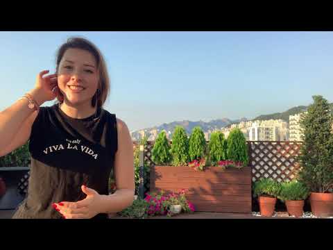 TEFL Heaven — meet our teachers