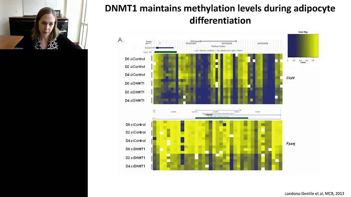 Kathryn Wellen - Metabolic reprogramming links to ...