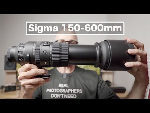 Sigma 150-600mm F5-6.3 –Long Reach Sharp Zoom