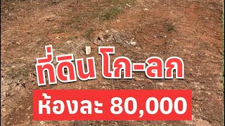ที่ดิน 80000 ที่โก-ลก