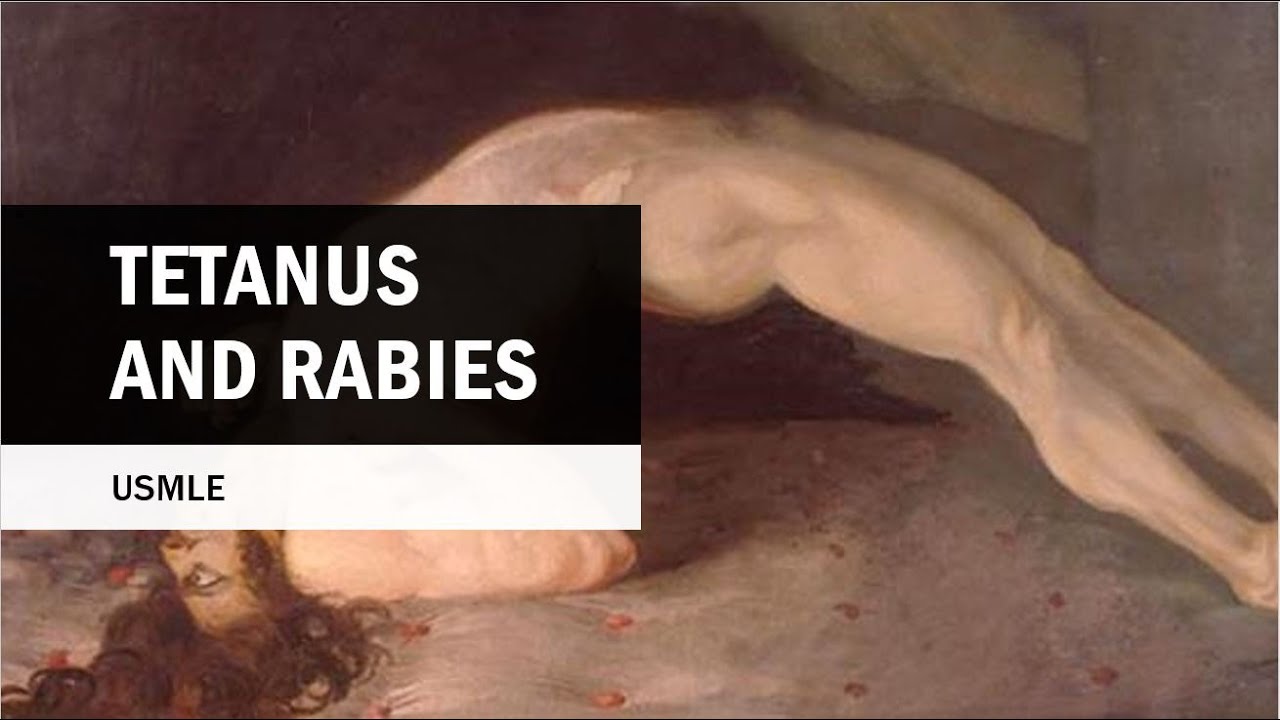 Tetanus, Rabies , Cellulitis (Animal Bites) Explained for USMLE YouTube