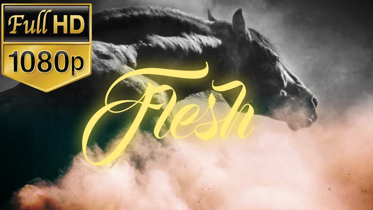 Flesh - Oryginal Equestrian music video