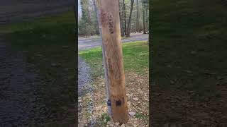 Campers Paradise Sigel PA Walk thru and review
