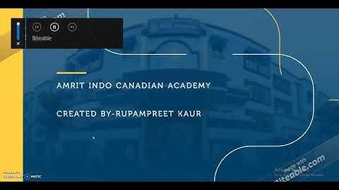 Amrit indo Canadian academy, Computer, Class 6to8, Scratch programming, video2