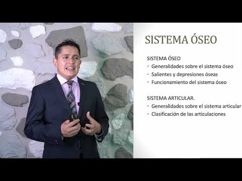 Dr Roberto Cordero Anatomía 2
