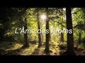 L me des arbres  stphane brisset