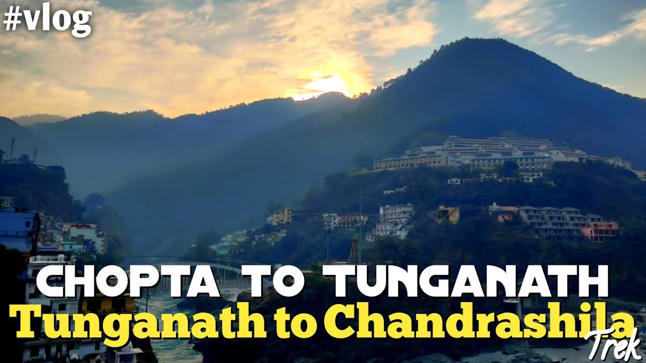 Delhi to Chopta Road Trip | Tungnath Temple Trek & Chandrashila Summit Experience | Travel Vlog |