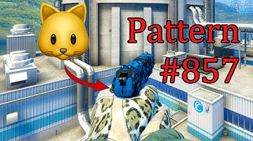 "P*SSY Pattern P2000" The Interesting Skins Of Counter Strike