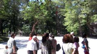 MVI_0006.AVI