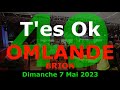 Tes ok   omlande brion 49