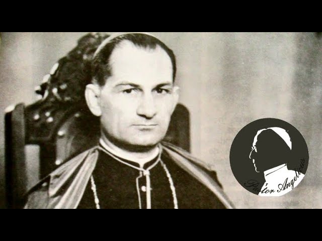 Concílio Vaticano II: Gaudium et Spes - Pe Gregory Hesse - Arsenal Católico