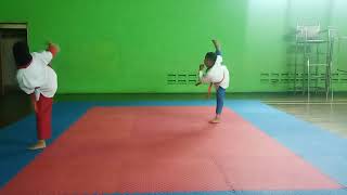 14 Gerakan Dasar Movement Taekwondo versi Depan