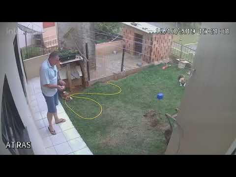 კაცმა მწერების განადგურებისას საკუთარი ეზო ააფეთქა