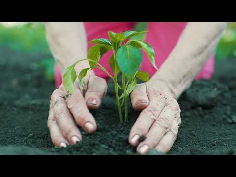 Introducing Suspire: Rewarding Sustainability! - video from Suspire