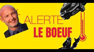 [ YTP - FR ] : ALERTE LE BOEUF !
