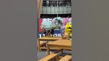 Thumbnail of Practice | 2025 World Lion Dance Extravaganza