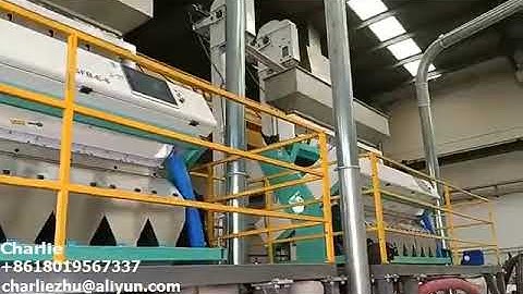 PE FLAKES COLOR SORTER PLASTIC COLOR SORTING HIGH PERFORMANCE OPTICAL SORTING 【+8618019567337】